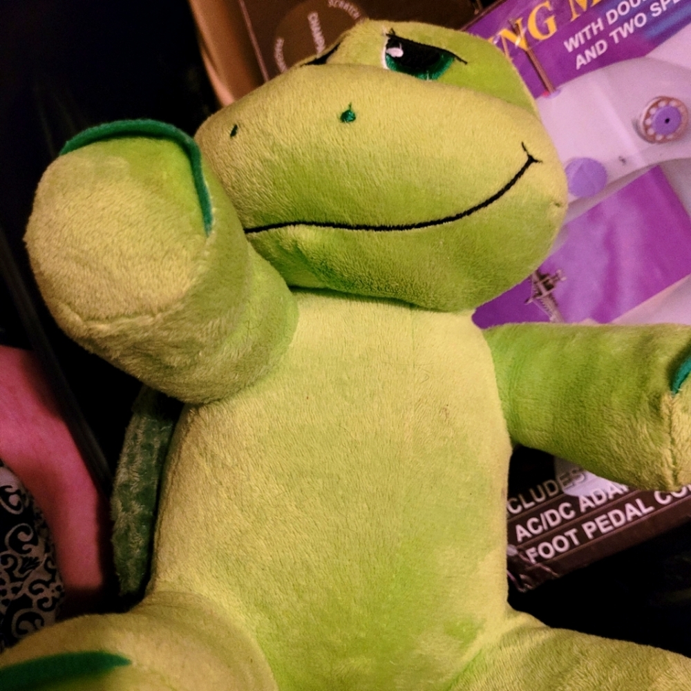 Turtle